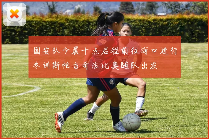 国安队今晨十点启程前往海口进行冬训斯帕吉奇法比奥随队出发