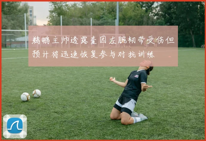 鹈鹕主帅透露奎因左腕韧带受伤但预计将迅速恢复参与对抗训练