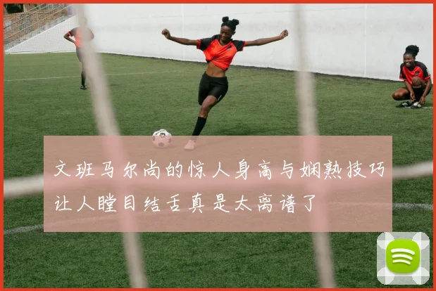 文班马尔尚的惊人身高与娴熟技巧让人瞠目结舌真是太离谱了
