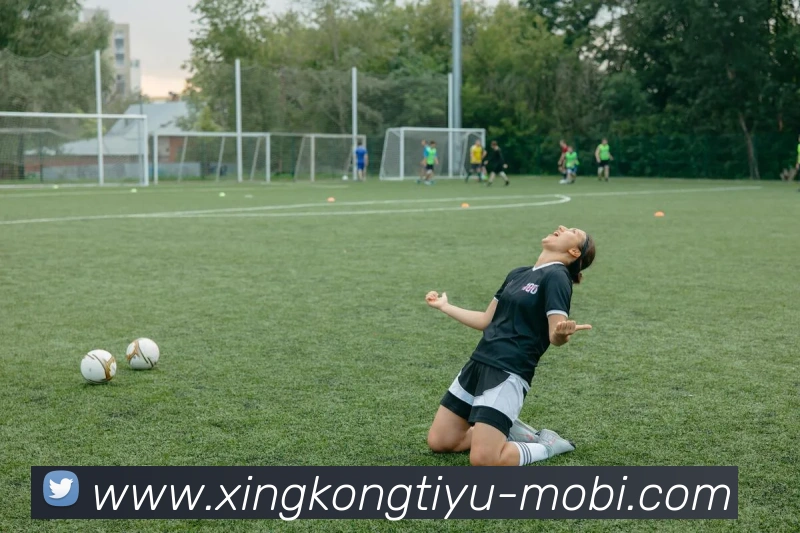 星空体育APP 封面图